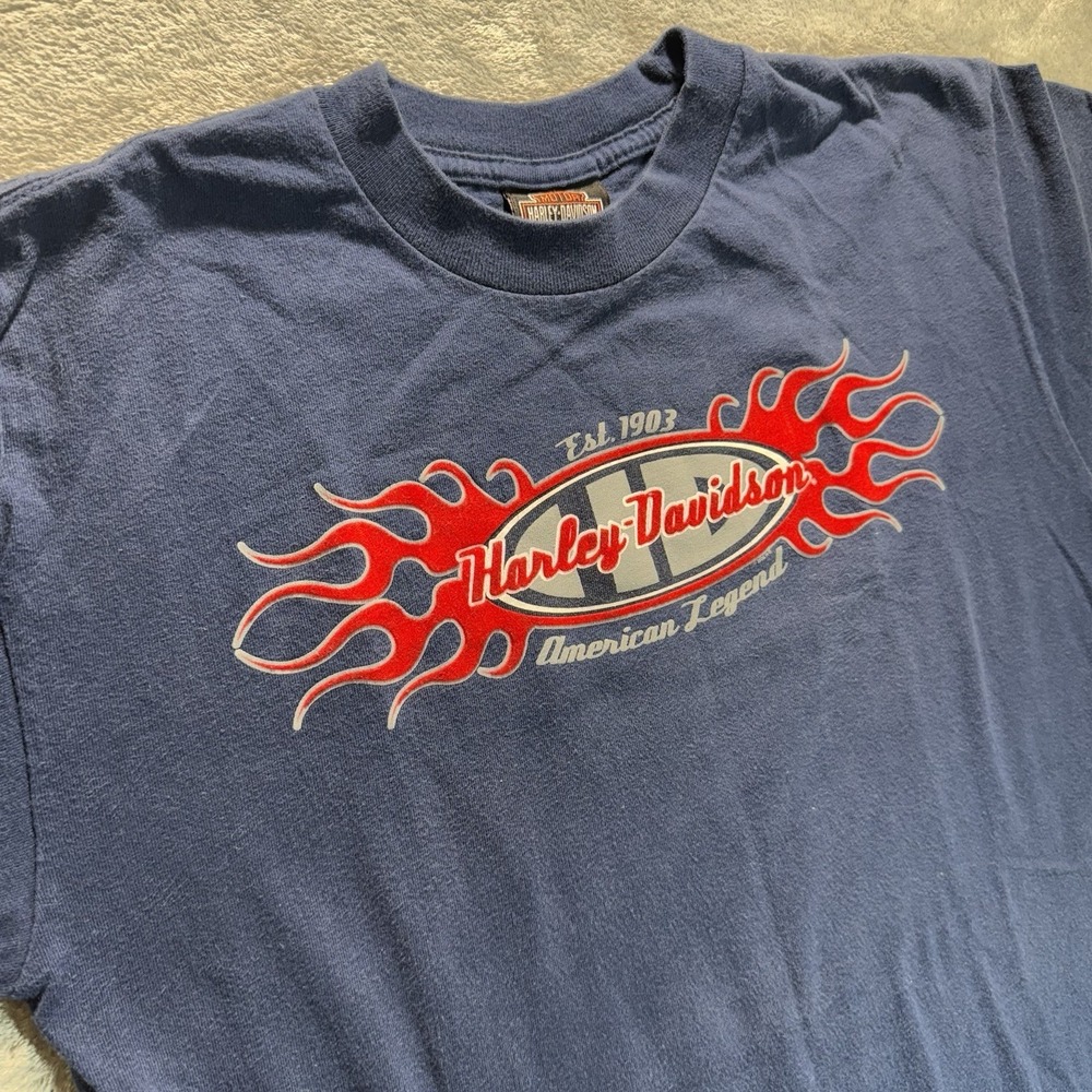 Harley Davidson T-Shirt Medium Reno Nevada Flames 2004 VTG Y2K Biker - Picture 3 of 13